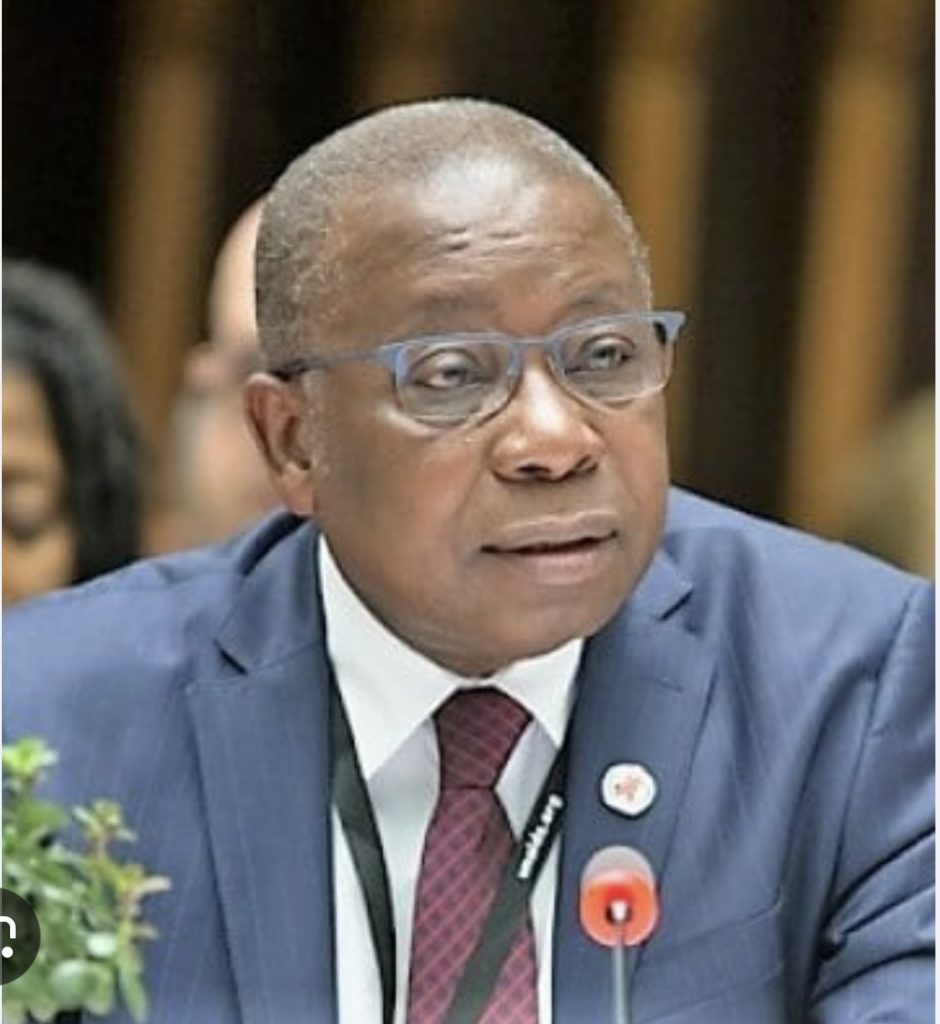 432BF85B-1FE3-44F4-A3CE-D54FE778DC56-940x1024 Election 2024: The NDC is neither a viable nor a conceivable alternative for Ghana's development - Former Health Minister